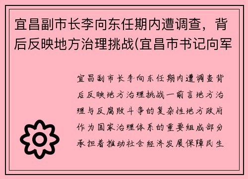 宜昌副市长李向东任期内遭调查，背后反映地方治理挑战(宜昌市书记向军)