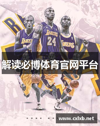 解读必博体育官网平台